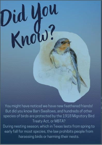 Apartments in Northwest San Antonio Did you know? Image of a Barn Swallow with text explaining the protection of various bird species under the 1918 Migratory Bird Treaty Act, particularly during the nesting season in Texas. The View At Westover Hills Apartments in Northwest San Antonio 3010 West Loop 1604 N San Antonio, TX 78251 p: (210) 672-4924 f: (210) 680-6404